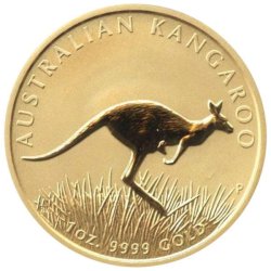 Australian Gold Kangaroo - 2008