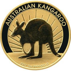 Australian Gold Kangaroo - 2011