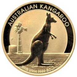 Australian Gold Kangaroo - 2012