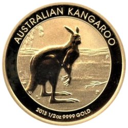 Australian Gold Kangaroo - 2013