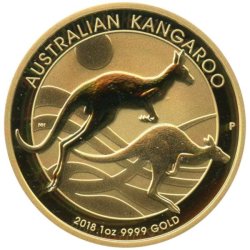 Australian Gold Kangaroo - 2018