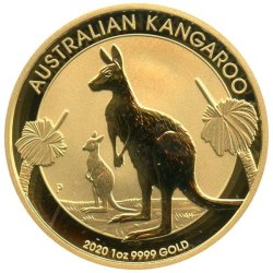 Australian Gold Kangaroo - 2020