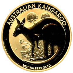 Australian Gold Kangaroo - 2021