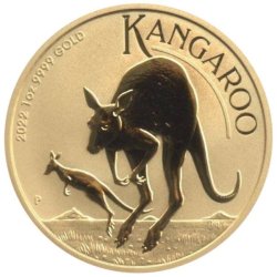 Australian Gold Kangaroo - 2022