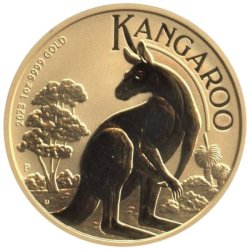 Australian Gold Kangaroo - 2023