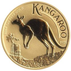 Australian Gold Kangaroo - 2024